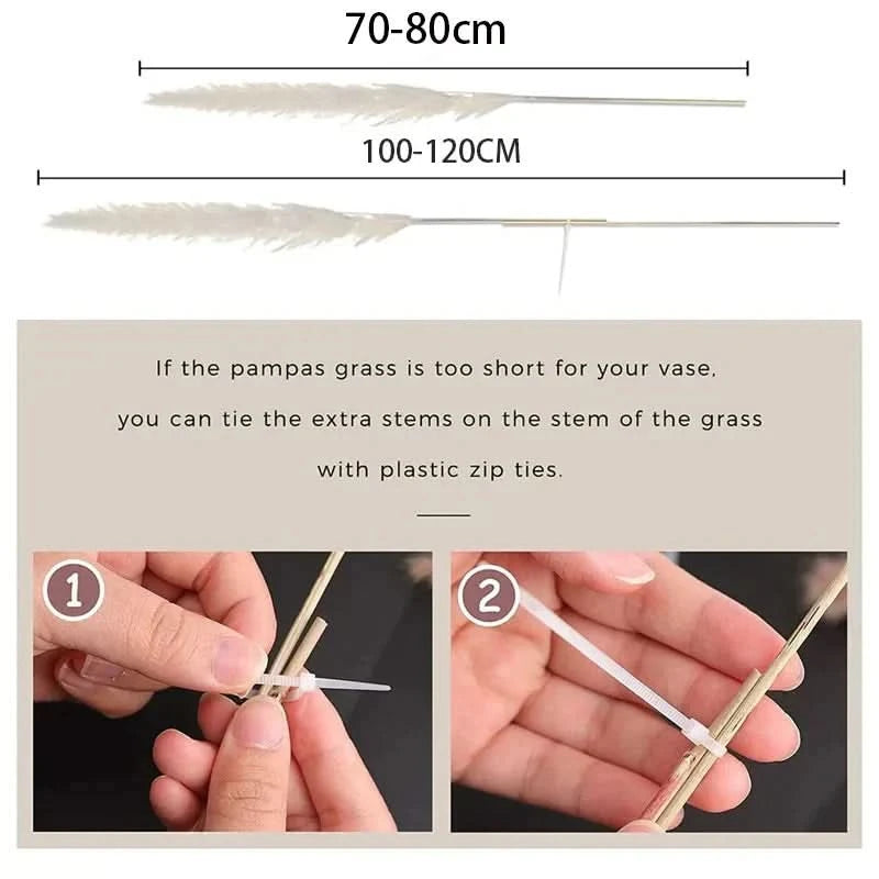 MEADOWHAVEN – Dried Pampas Grass for Timeless Decorative Character