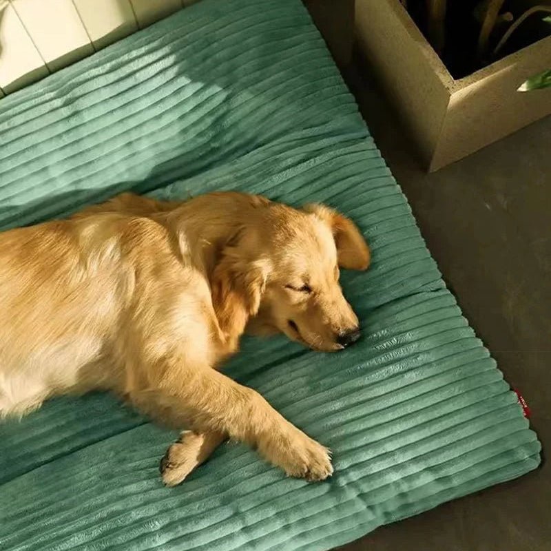 Orthopedic Dog Bed - Ultimate Comfort and Joint Relief for All Dogs 3