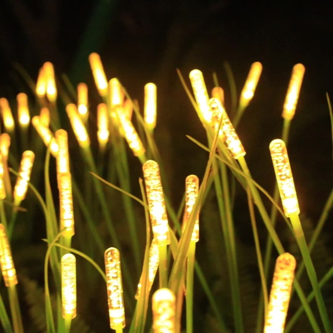 REEDLIVA – Lumières solaires en roseau pour décoration extérieure de paysage
