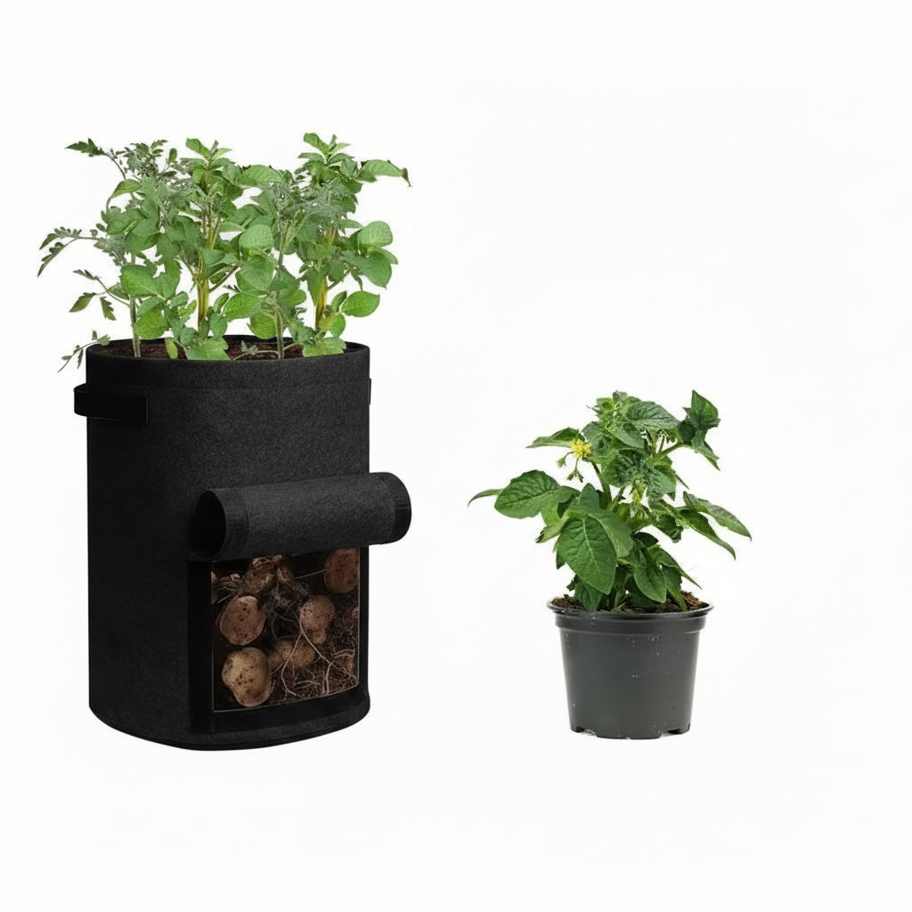 HARVESTROOT – Stoff-Growbag-Pflanzset