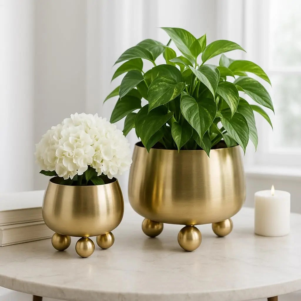 NOIRBLOOM – Modern Ceramic Planter Set