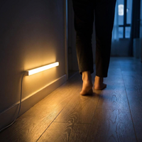 ITERPUB::cold-luxelie-15372952567978::02-inuse