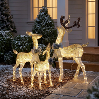 ITERPUB::cold-luxelie-8595092897962::02-inuse