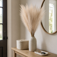 ITERPUB::cold-luxelie-8602722631850::02-inuse