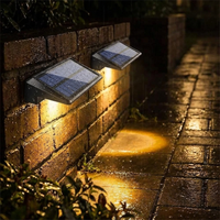 ITERPUB::cold-luxelie-8595090014378::03-detail