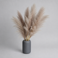 ITERPUB::cold-luxelie-8602722893994::05-variant-beige