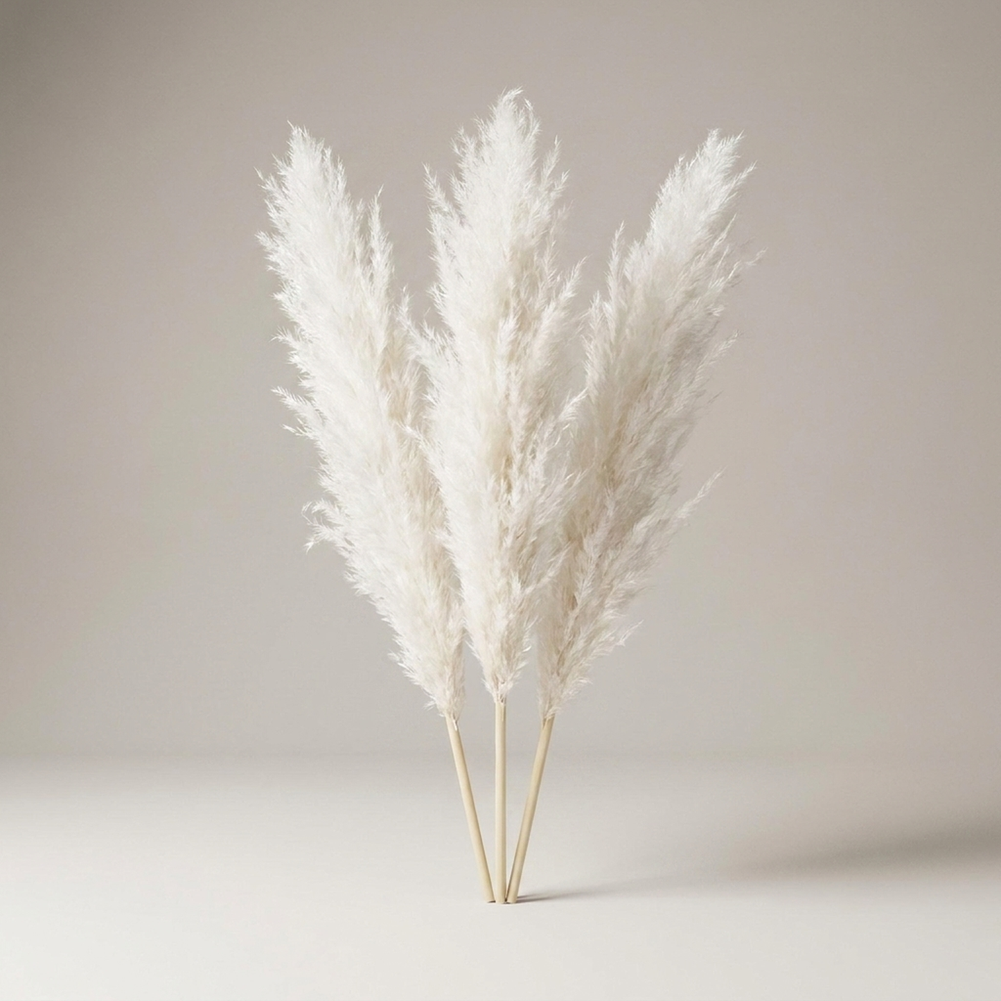 ITERPUB::cold-luxelie-8609681703082::05-variant-white