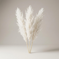 ITERPUB::cold-luxelie-8609681703082::05-variant-white