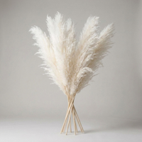 ITERPUB::cold-luxelie-8603420983466::06-variant-natural