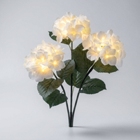 ITERPUB::cold-luxelie-8603652554922::06-variant-pure-white