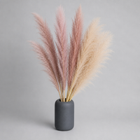 ITERPUB::cold-luxelie-8602722893994::07-variant-pink