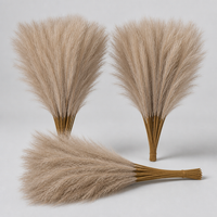 ITERPUB::cold-luxelie-8602723057834::08-variant-coffee