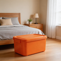 BOXAVERA – orange organizerboks til moderne opbevaring i hjemmet