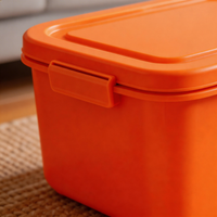 BOXAVERA – orange organizerboks til moderne opbevaring i hjemmet