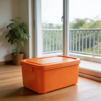 BOXAVERA – orange organizerboks til moderne opbevaring i hjemmet