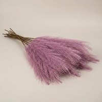 ITERPUB::cold-luxelie-8603420754090::10-variant-purple