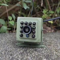 1080p HD Bird Watching Camera with Weatherproof Design - Perfect Bird Nesting Cam 1