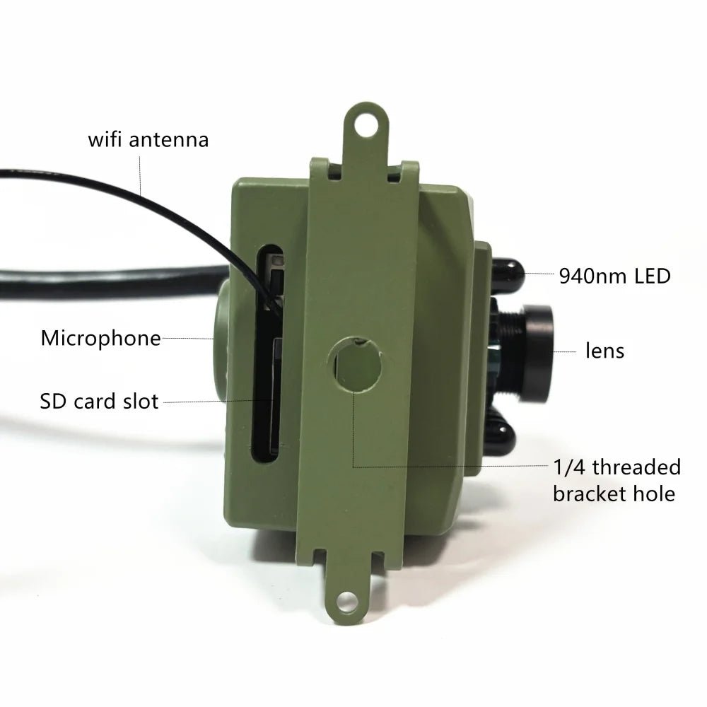 1080p HD Bird Watching Camera with Weatherproof Design - Perfect Bird Nesting Cam 4