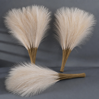 ITERPUB::cold-luxelie-8602723057834::16-variant-beige