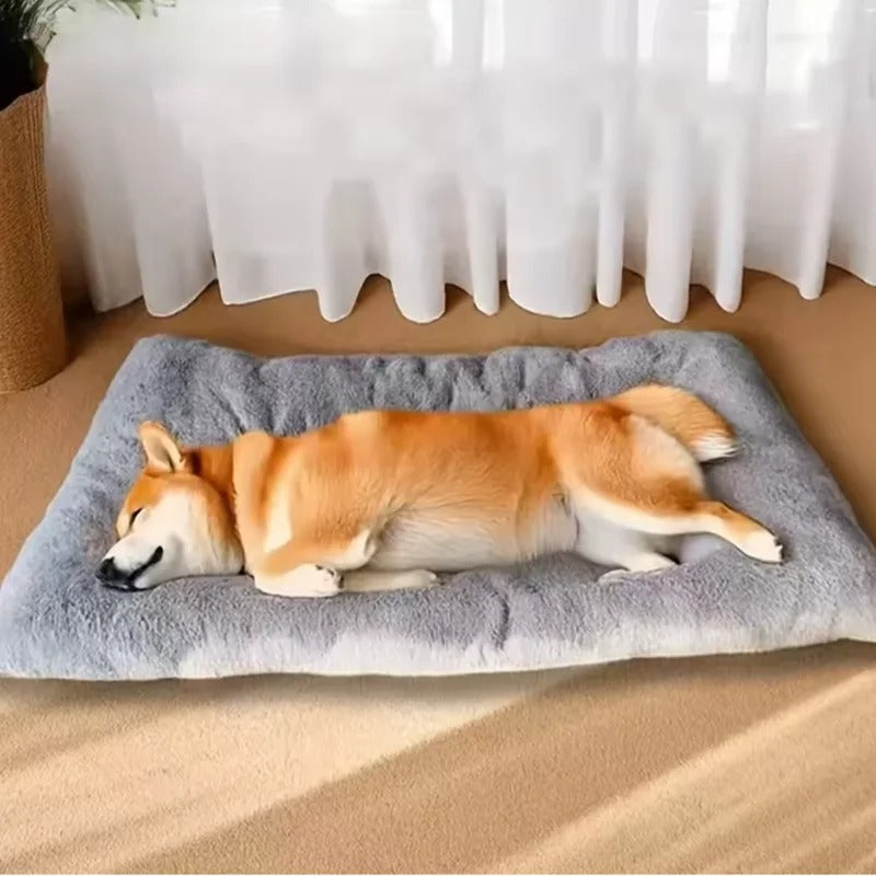 CLOUDPAWS – Plush Extra Large Pet Bed Mat