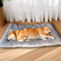CLOUDPAWS – Plush Extra Large Pet Bed Mat