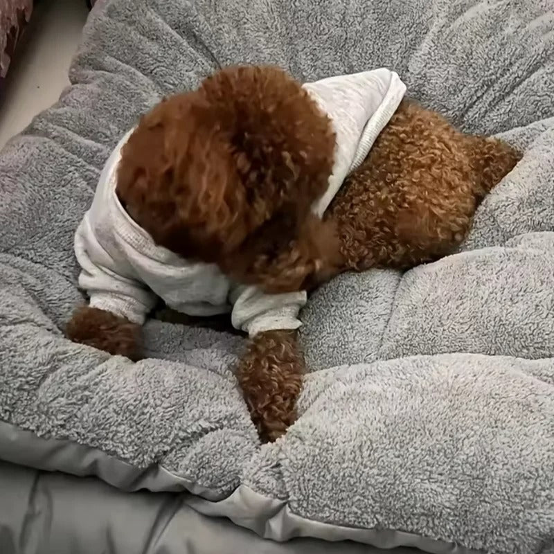 CLOUDPAWS – Plush Extra Large Pet Bed Mat