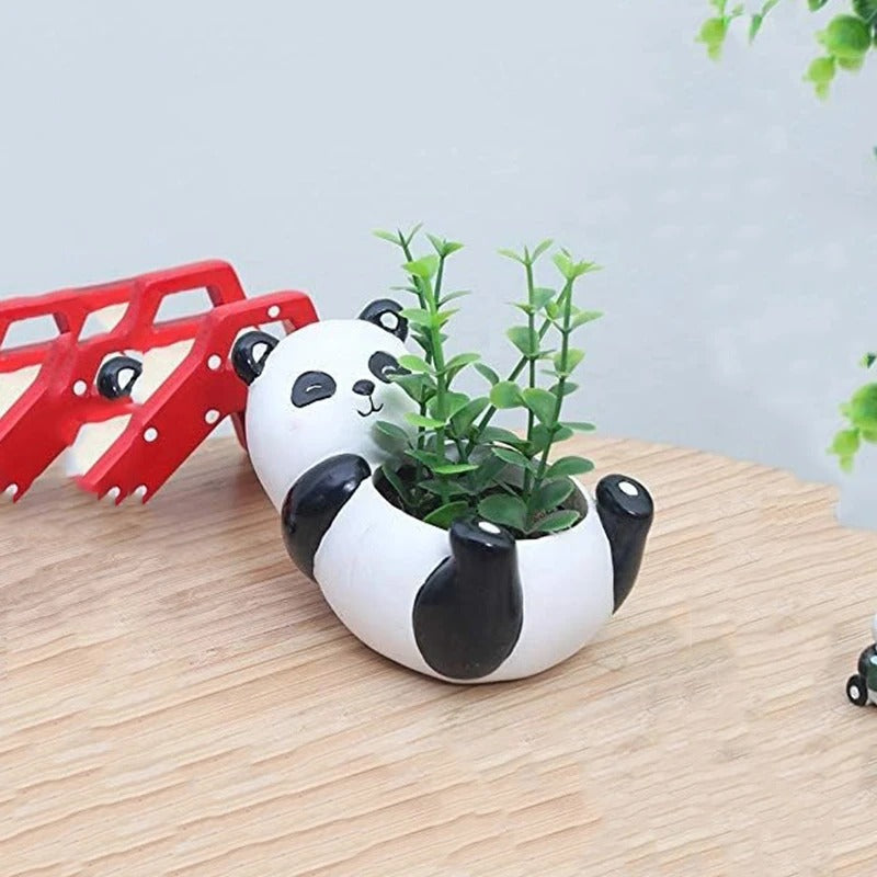 PANDABLOOM – Cute Panda Succulent Planter