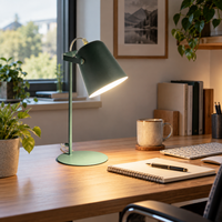 DESKFLARE – Verstellbare Schreibtischlampe für gerichtetes Alltagslicht