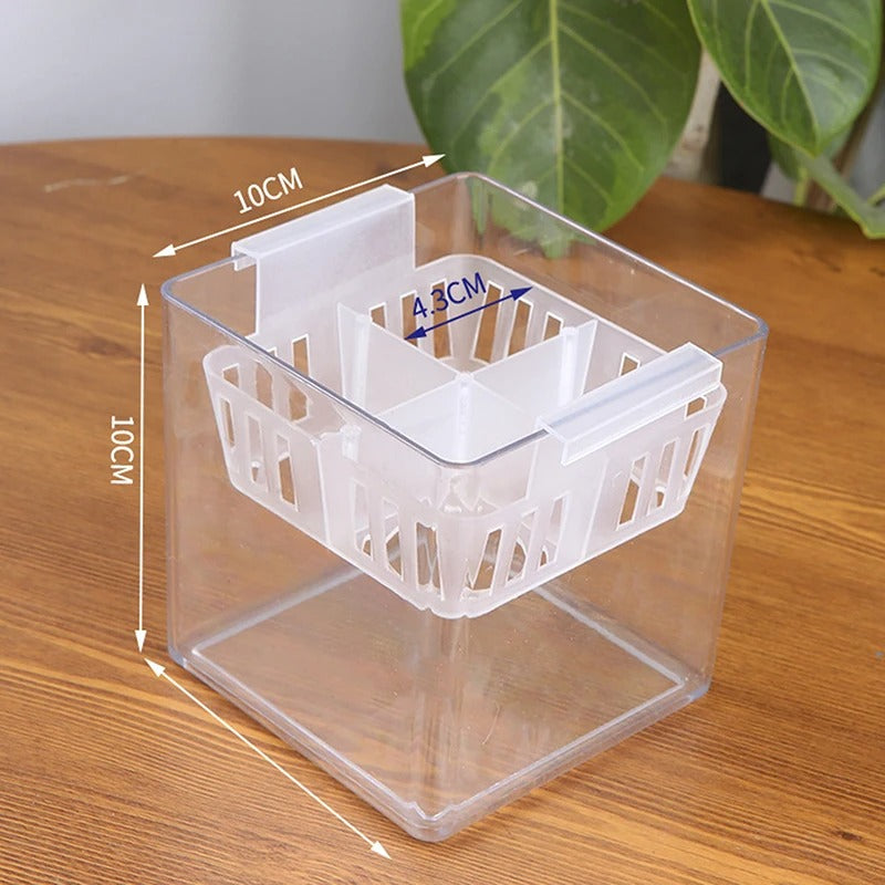 AQUABLOOM – Self Watering Planter Pot Set