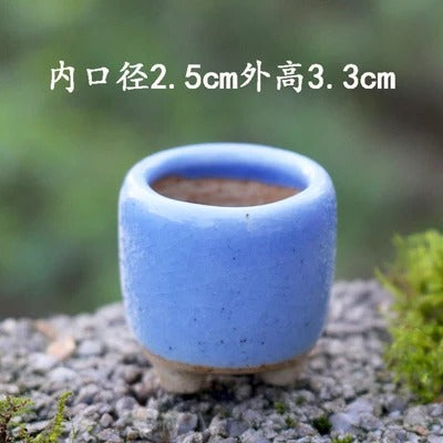 MINICACTA – Mini Ceramic Succulent Pot Set