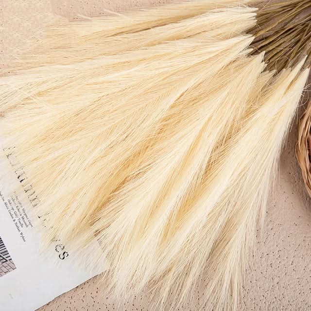 SOFTBLOOM – Pampas Grass Bouquet for Elegant Home Accents