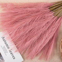 SOFTBLOOM – Pampas Grass Bouquet for Elegant Home Accents