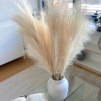 PLUMEVELLE – Artificial Pampas for Elevated Floral Texture