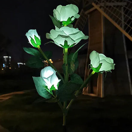 BLOOMGLOW – Lampes solaires fleurs à 5 têtes pour ambiance de jardin
