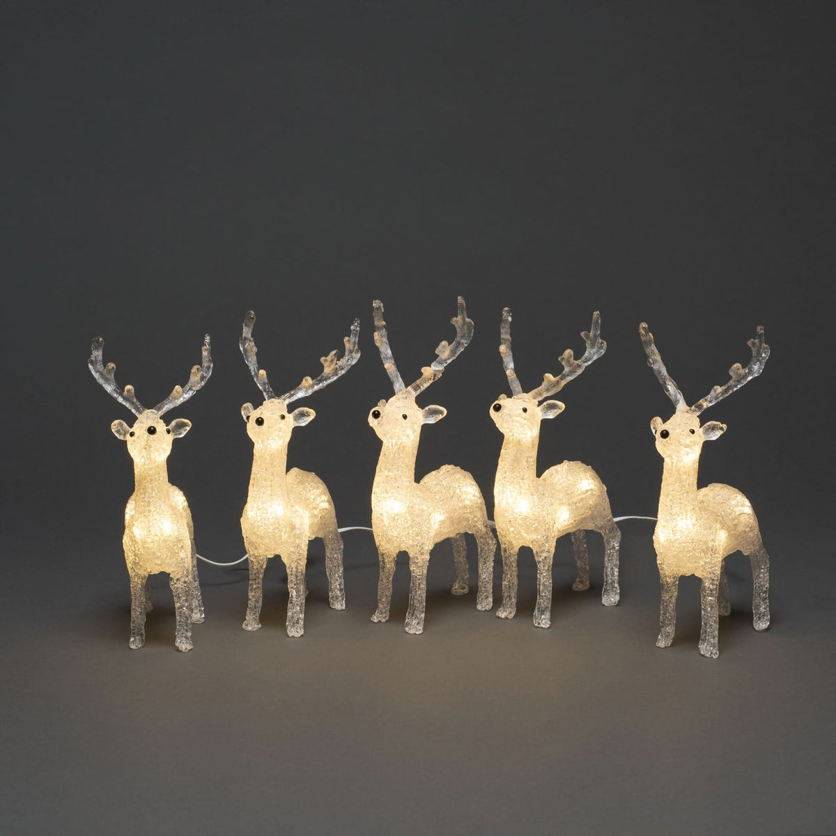 REINLUMORA – Illuminated Reindeer Light Set for Festive Outdoor Glow