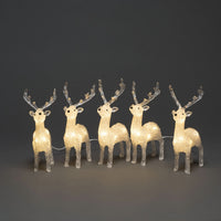REINLUMORA – Illuminated Reindeer Light Set for Festive Outdoor Glow