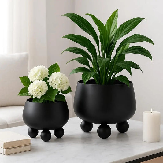 NOIRBLOOM – Modern Ceramic Planter Set