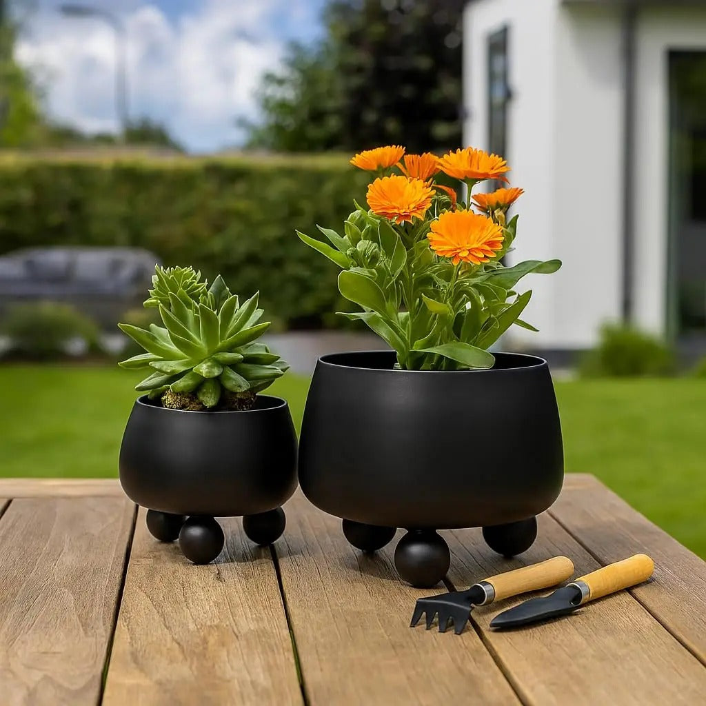 NOIRBLOOM – Modern Ceramic Planter Set