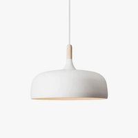 OAKDROP – Acorn Pendant Light for Warm Decorative Ambience