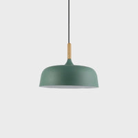 OAKDROP – Acorn Pendant Light for Warm Decorative Ambience