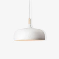 OAKDROP – Acorn Pendant Light for Warm Decorative Ambience
