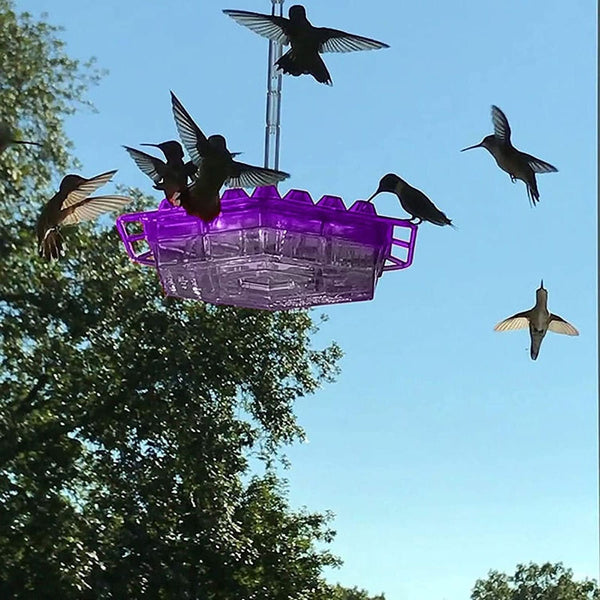 NECTARVAULT – Mangeoire à colibris 30 ports design anti-fourmis