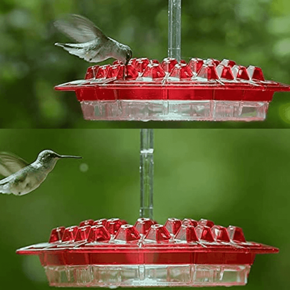 Ant Proof Hummingbird Feeder - 30 Ports, 12 Oz Capacity, UV Resistant Polycarbonate 5