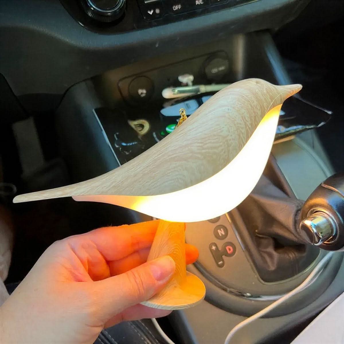FEATHERZORIA – Lampada decorativa senza fili per ambienti caldi e accoglienti