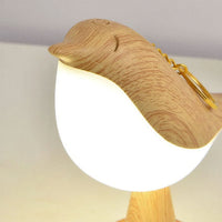 FEATHERZORIA – Lampada decorativa senza fili per ambienti caldi e accoglienti