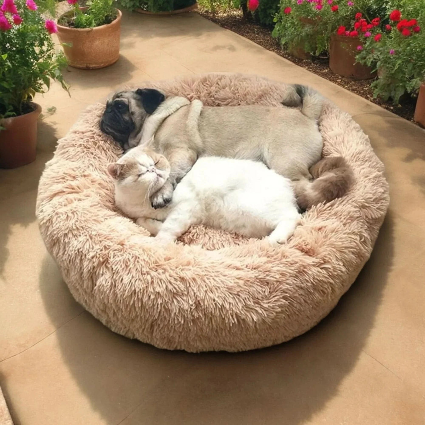 CALMING DOG – Super soft dog bed for relaxed sleep 3