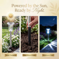 CELESTIALIVA – Lumière solaire pour ambiance extérieure magique