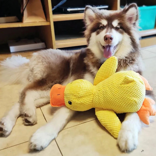 Calming Duck - Interactive Plush Dog Toy with Quacking Sound for Playtime 4