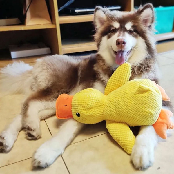 QUACKPAWS – Jouet interactif en peluche pour chien avec son de canard
