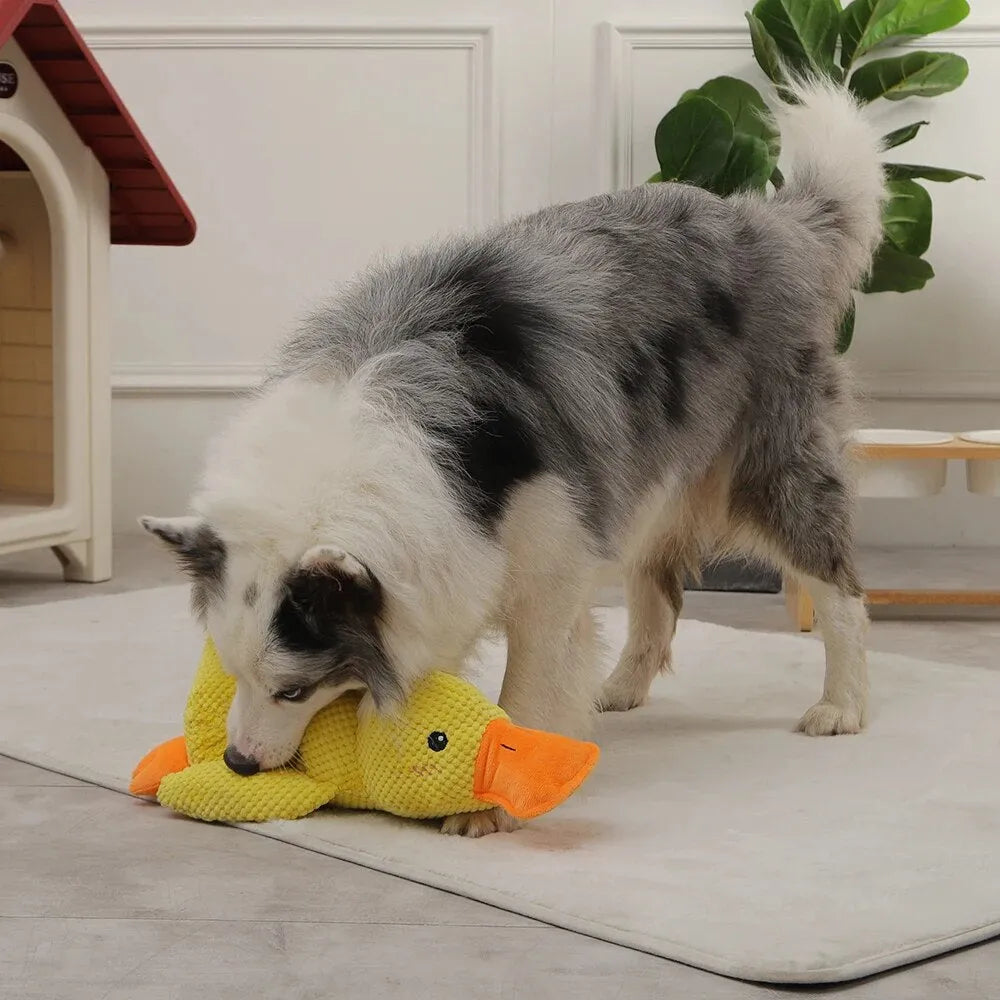 Calming Duck - Interactive Plush Dog Toy with Quacking Sound for Playtime 7